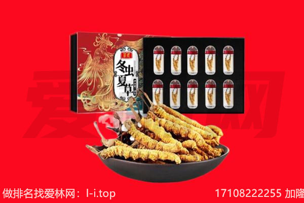 三江县回收虫草.jpg